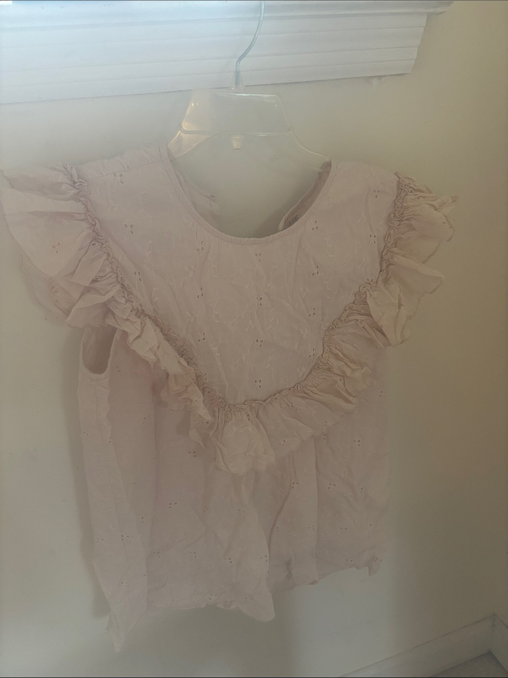 Roolee Light Pink Eyelet Ruffle Sleeve Blouse